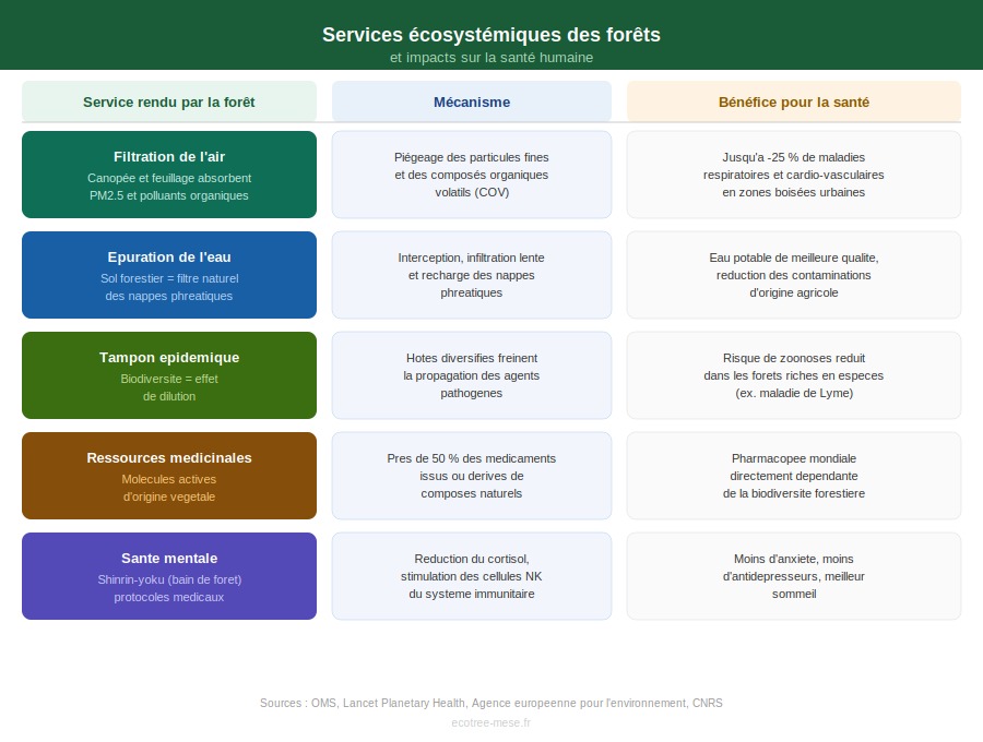 ecosystemique forets