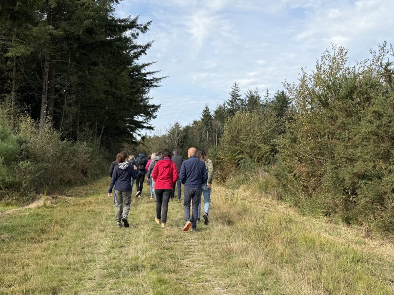 Forêt de Launay Guen en Bretagne