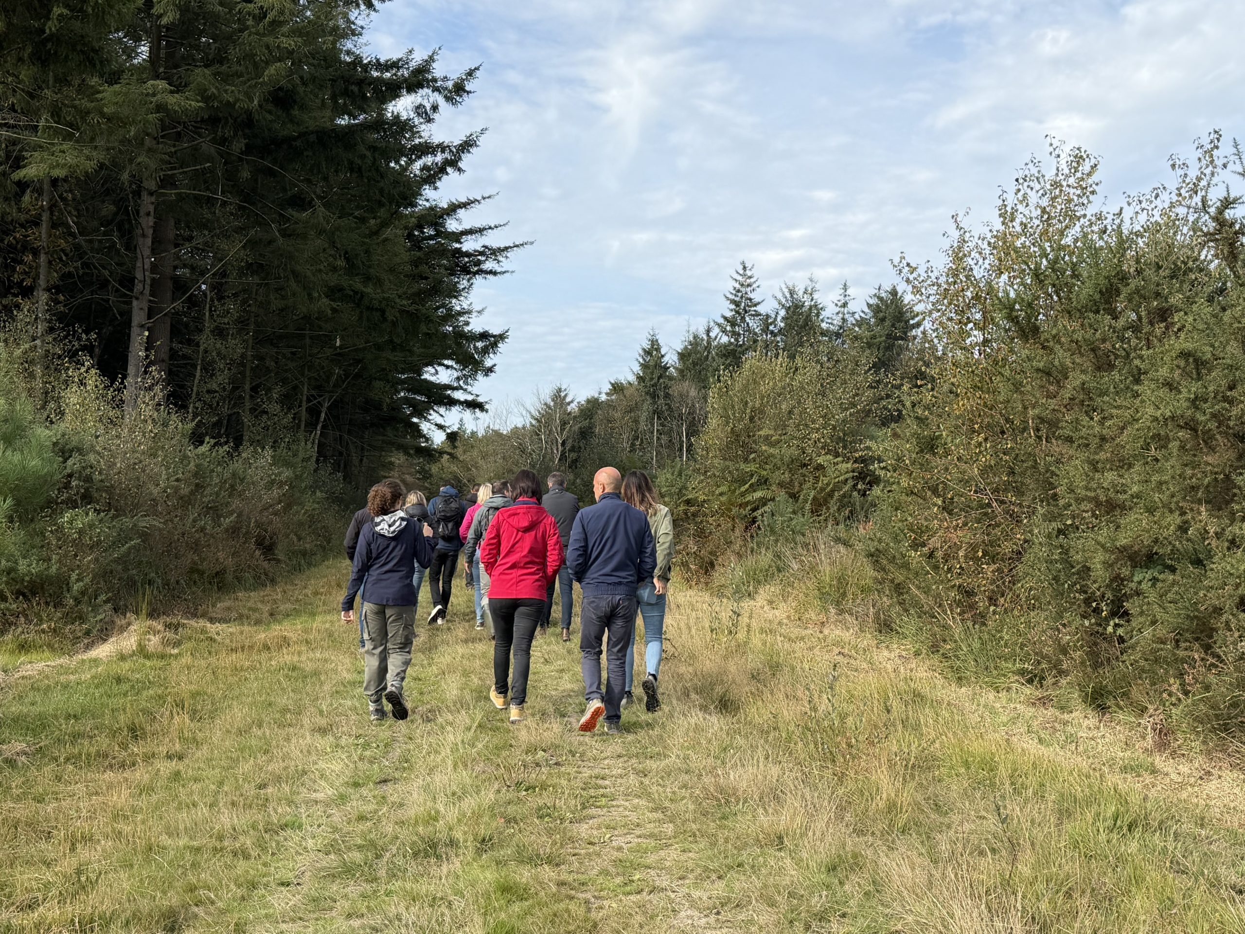 Forêt de Launay Guen en Bretagne