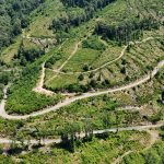 Ecosystème à restaurer