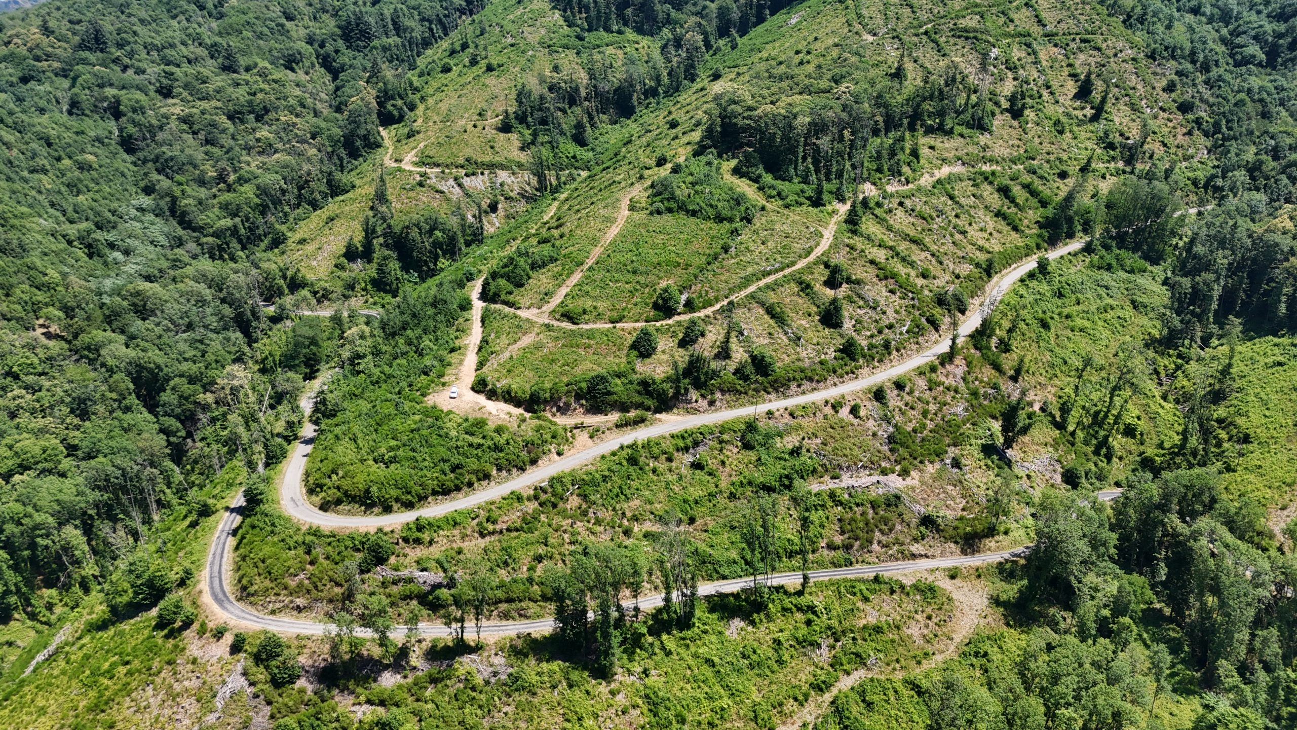 Ecosystème à restaurer